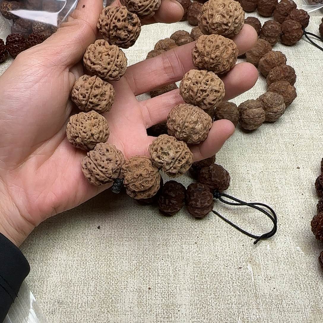 平***福金刚菩提手串1原生态粗筋双龙