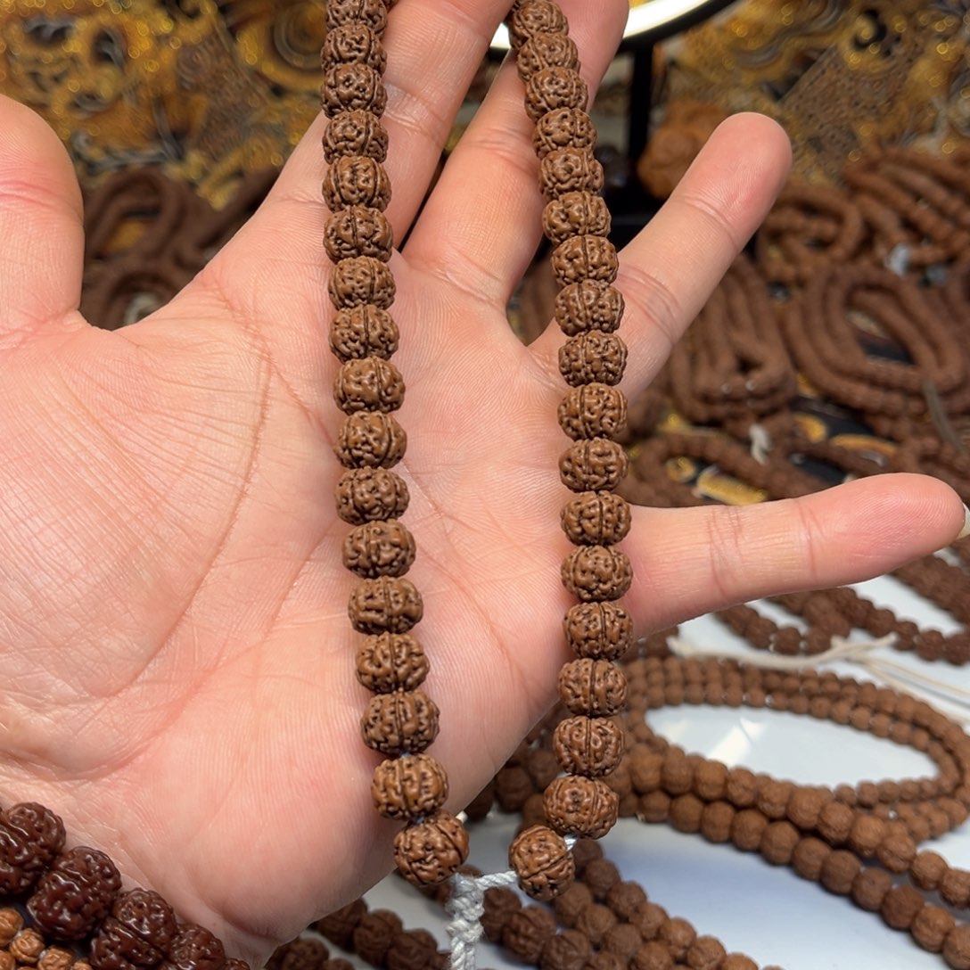 金刚菩提手串纯血老树王