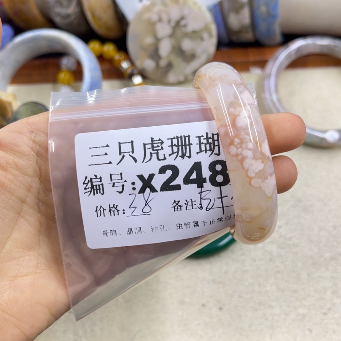 嘟***⍥硅化珊瑚（珊瑚玉）未镶嵌h