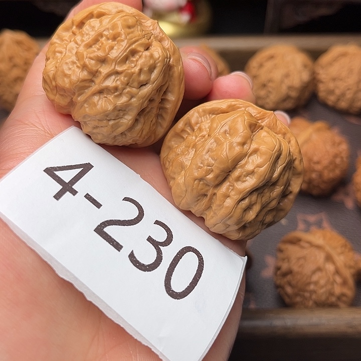 核桃41蛤蟆头4230