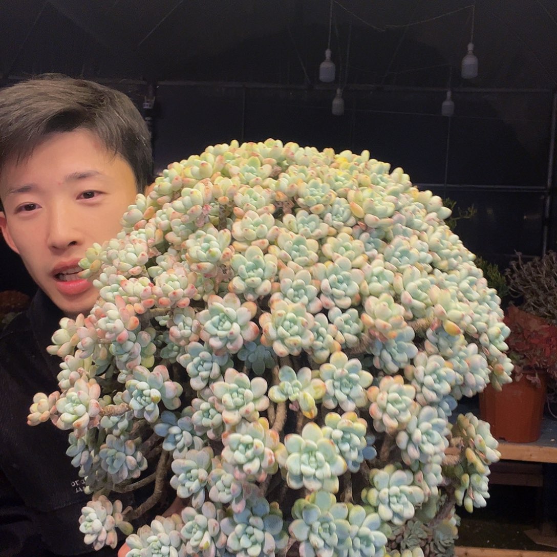 ****一劳尔看看具体来讲了