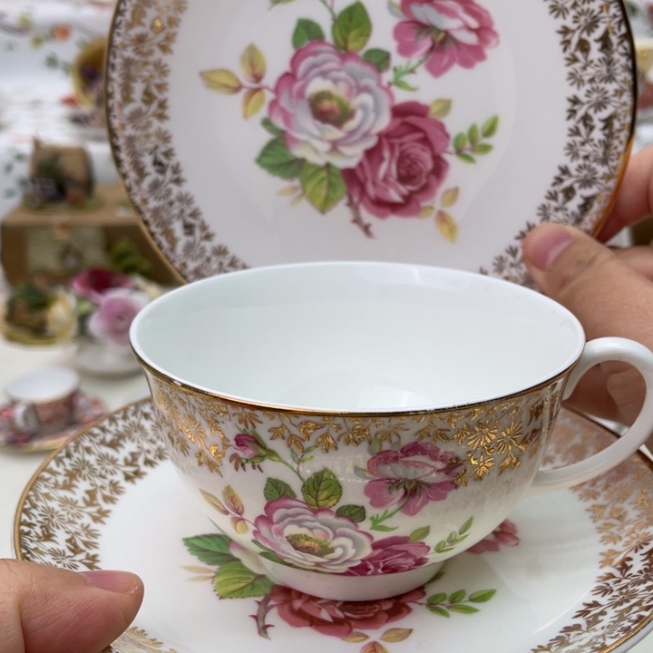 盘维多利亚欧洲中古