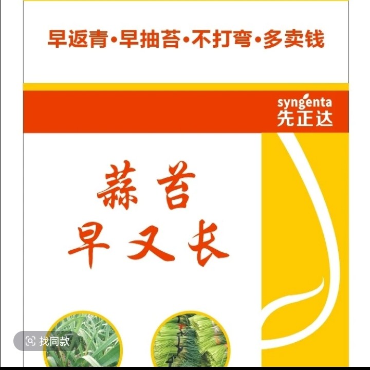 先正达蒜苔早又长