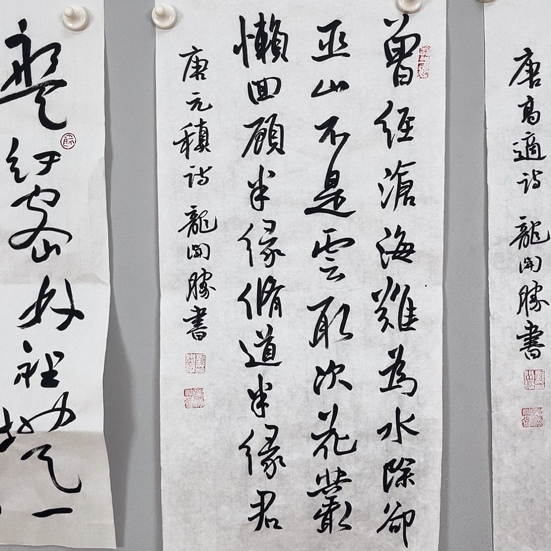 书法龙老师书法作品