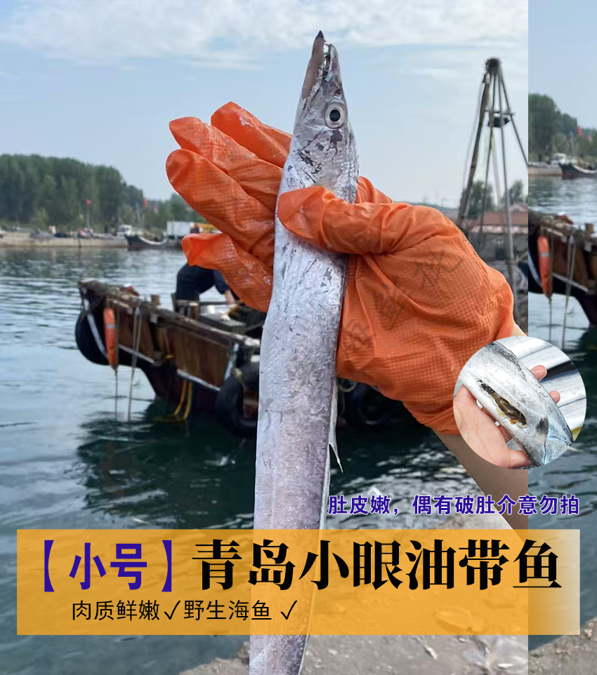 （红梅）青岛小眼带鱼新鲜速冻 肉质鲜嫩 顺丰包邮 4斤