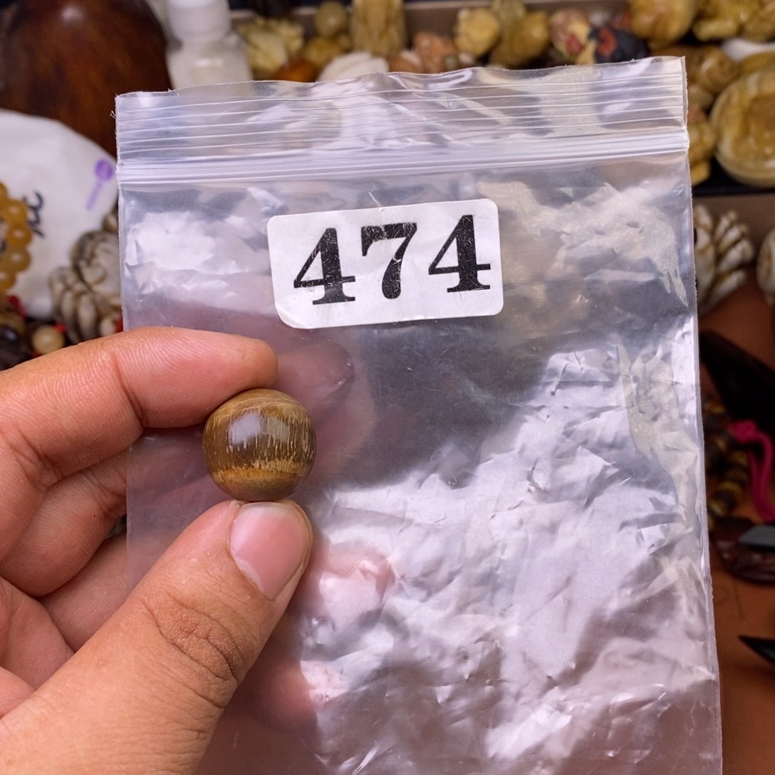 其他驼骨人工样子