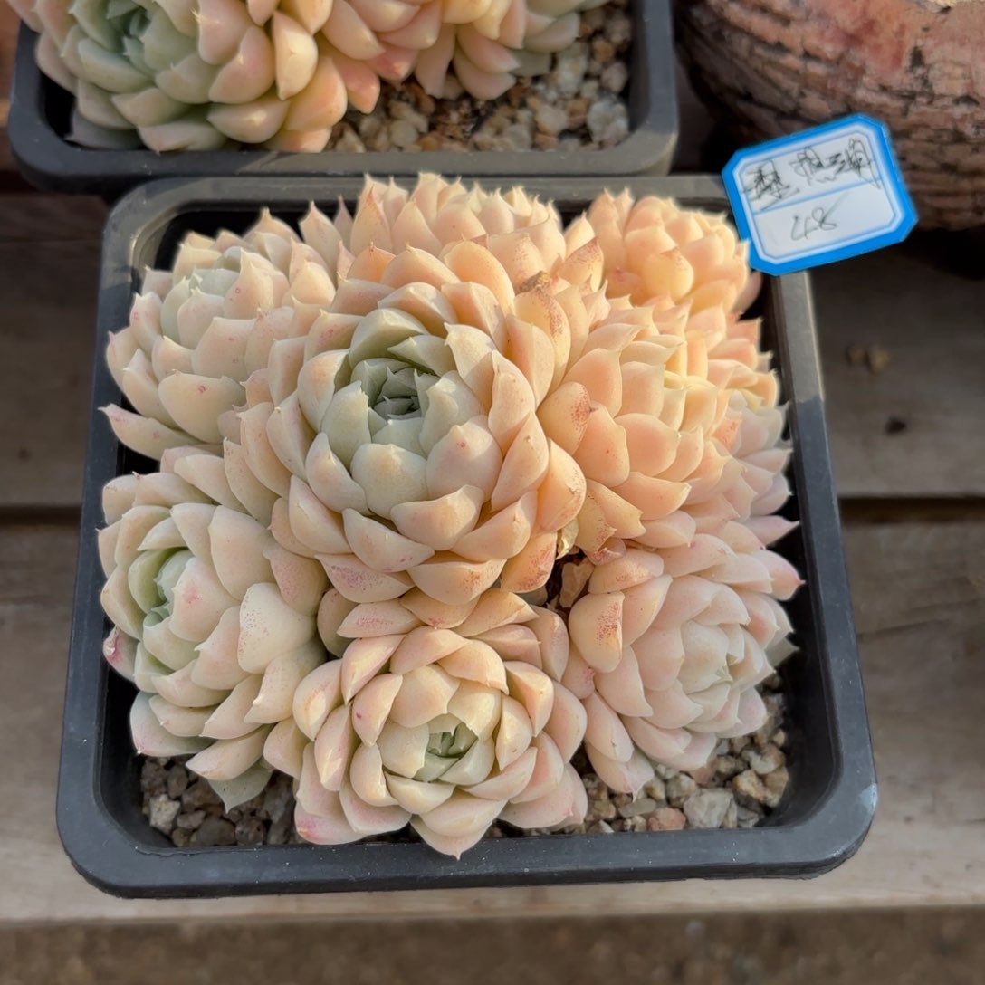 11111111111111111111