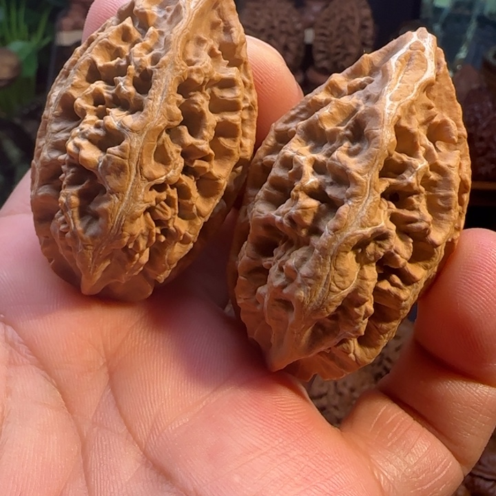 文玩核桃把件蚂蚁大帝10