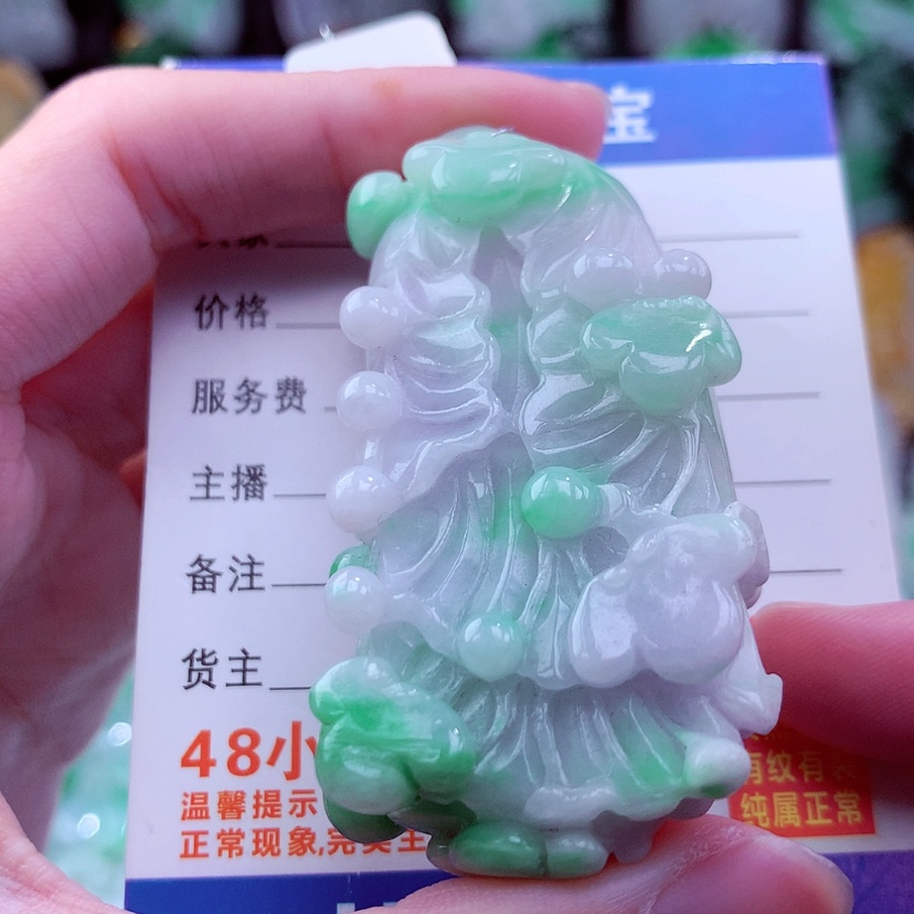 【闪购商品】翡翠颈饰未镶嵌挂件