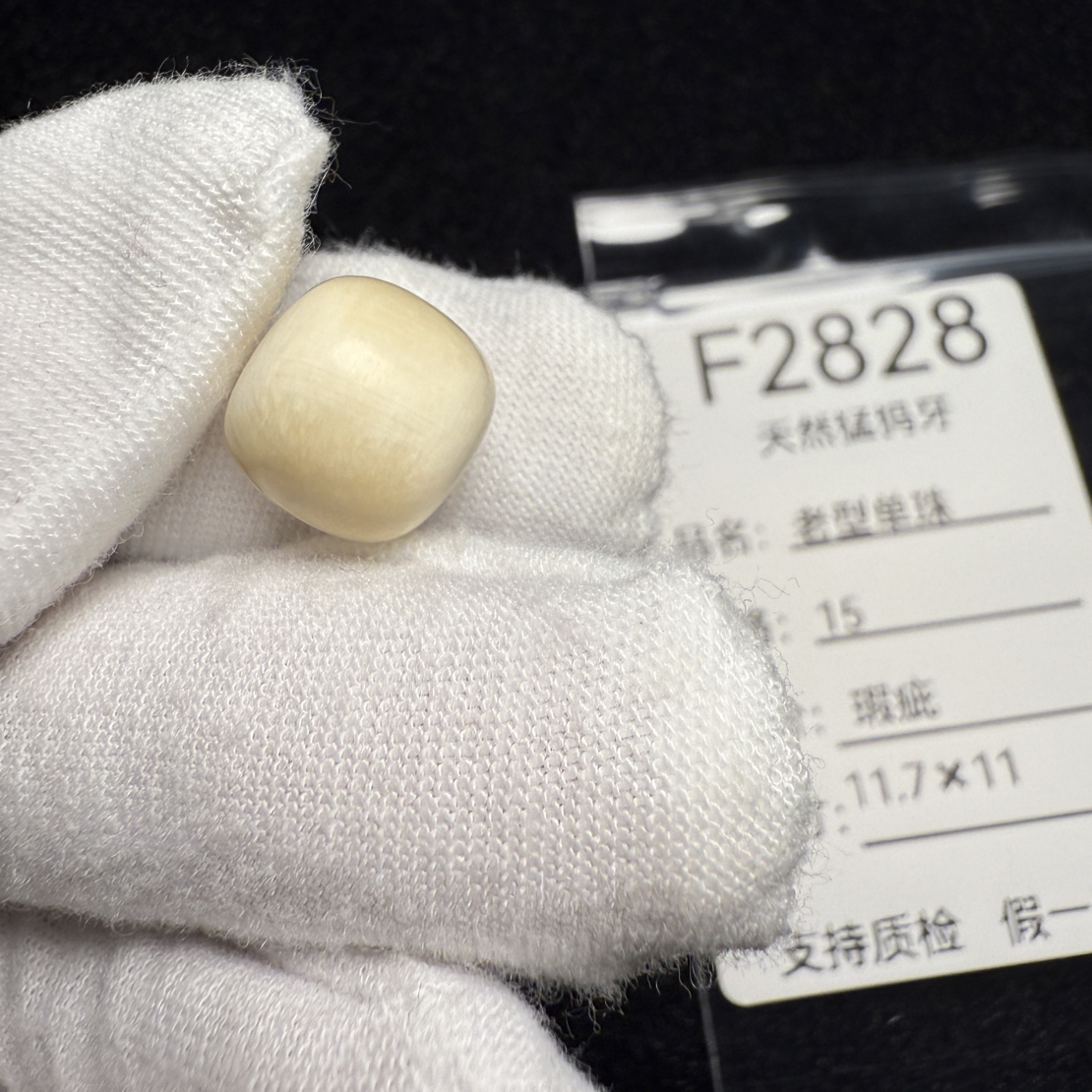 F2828天然猛犸象牙老型桶珠顶珠配珠配饰冰料11.7*11mm瑕疵