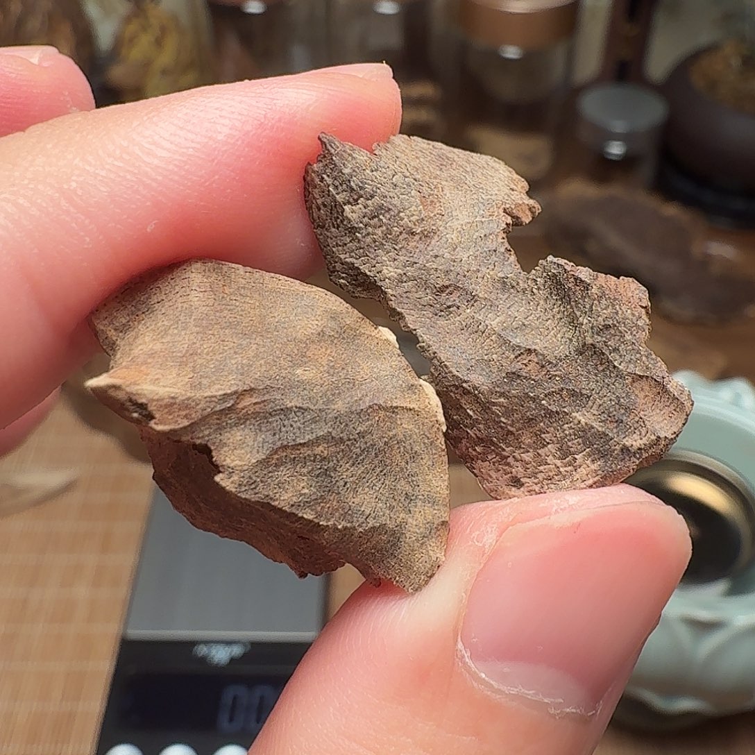 沉香国香香港壳子