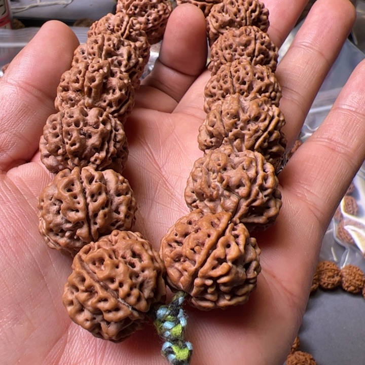金刚菩提手串23蜂窝双龙超头