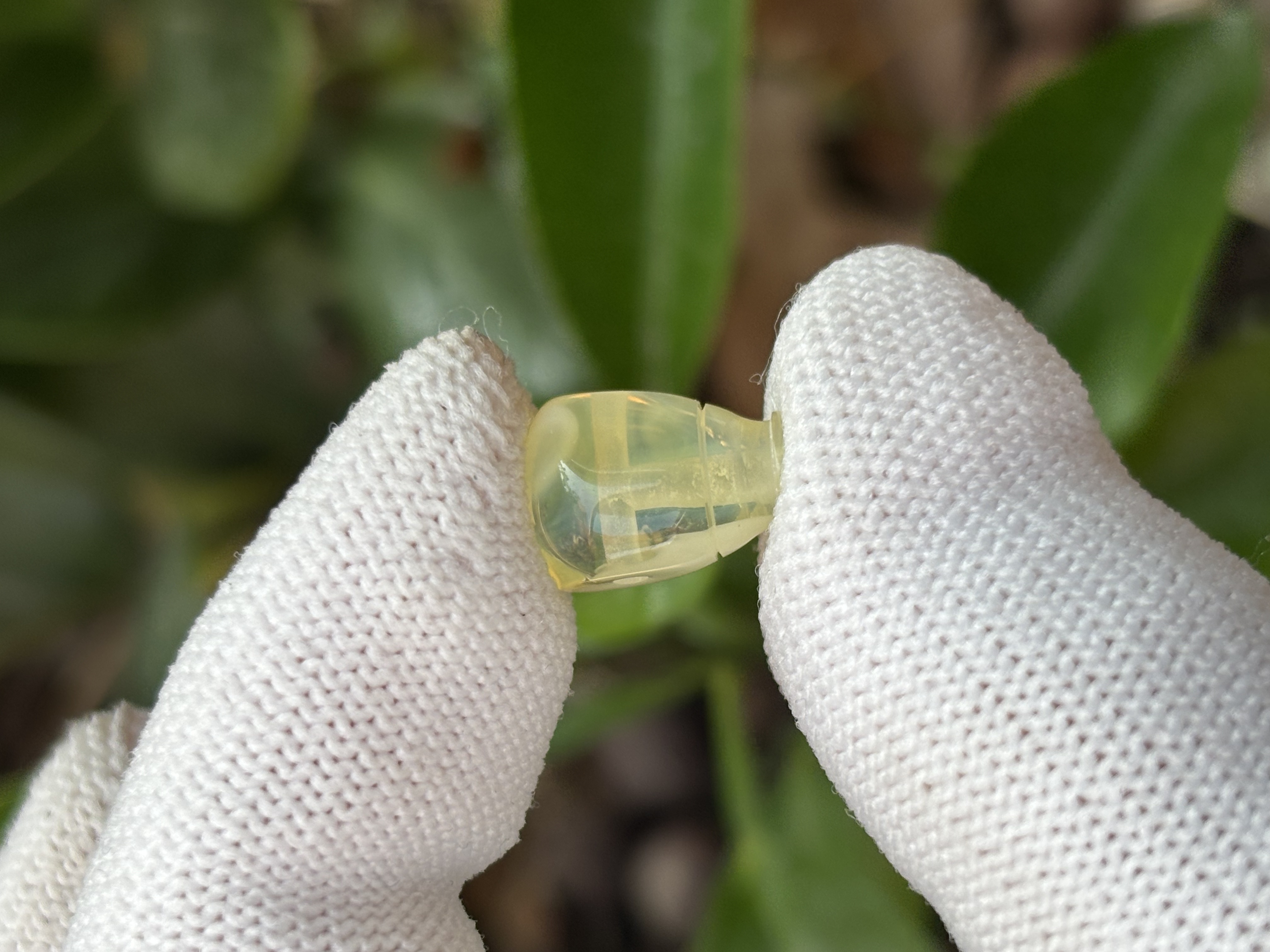 4511天然蜜蜡琥珀三通配饰9x8.3x12.8mm