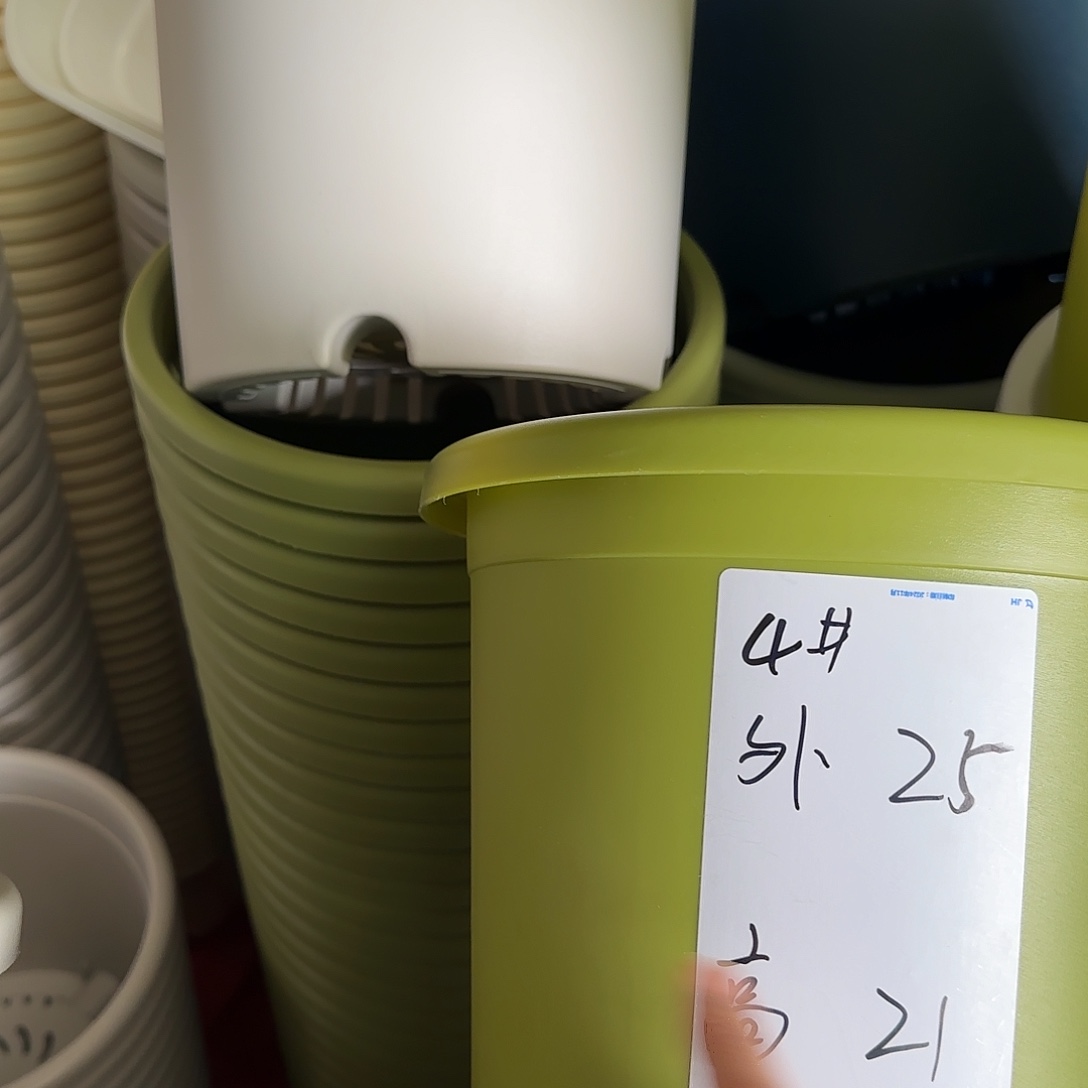 树脂四季4号无托8个果绿微瑕