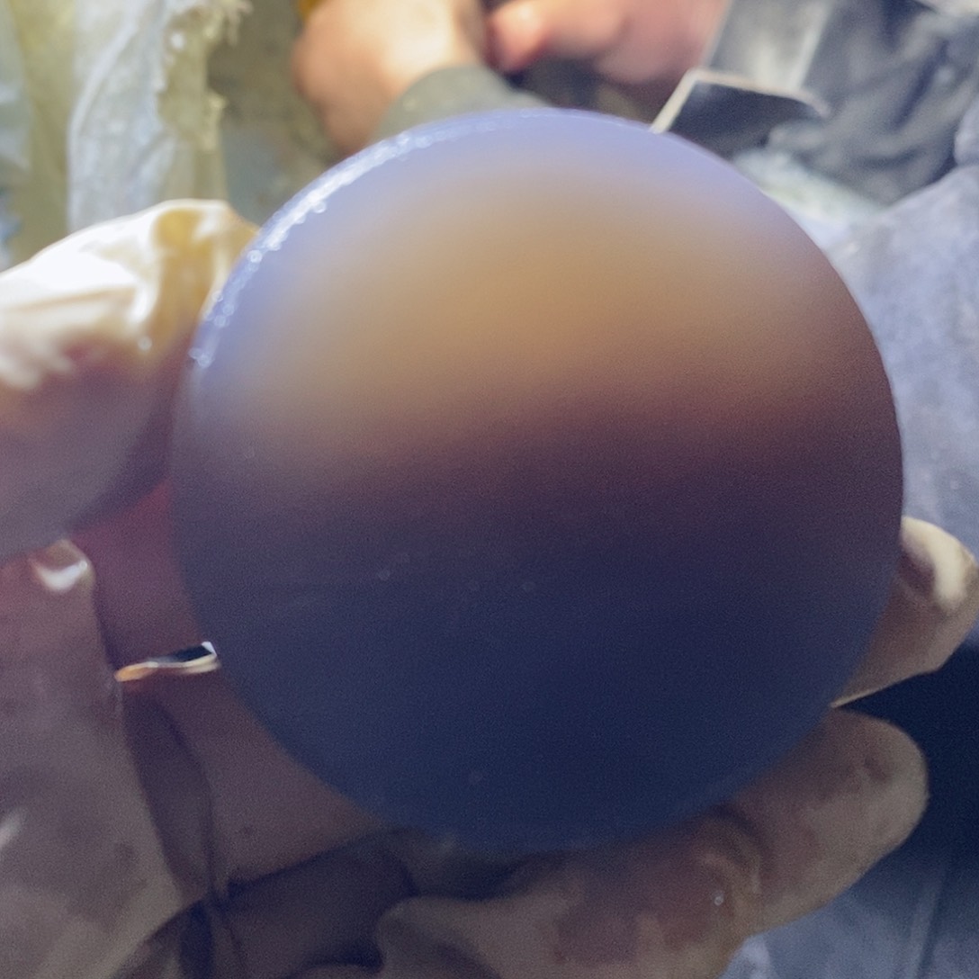 定制玛瑙紫*定制商品不退不换