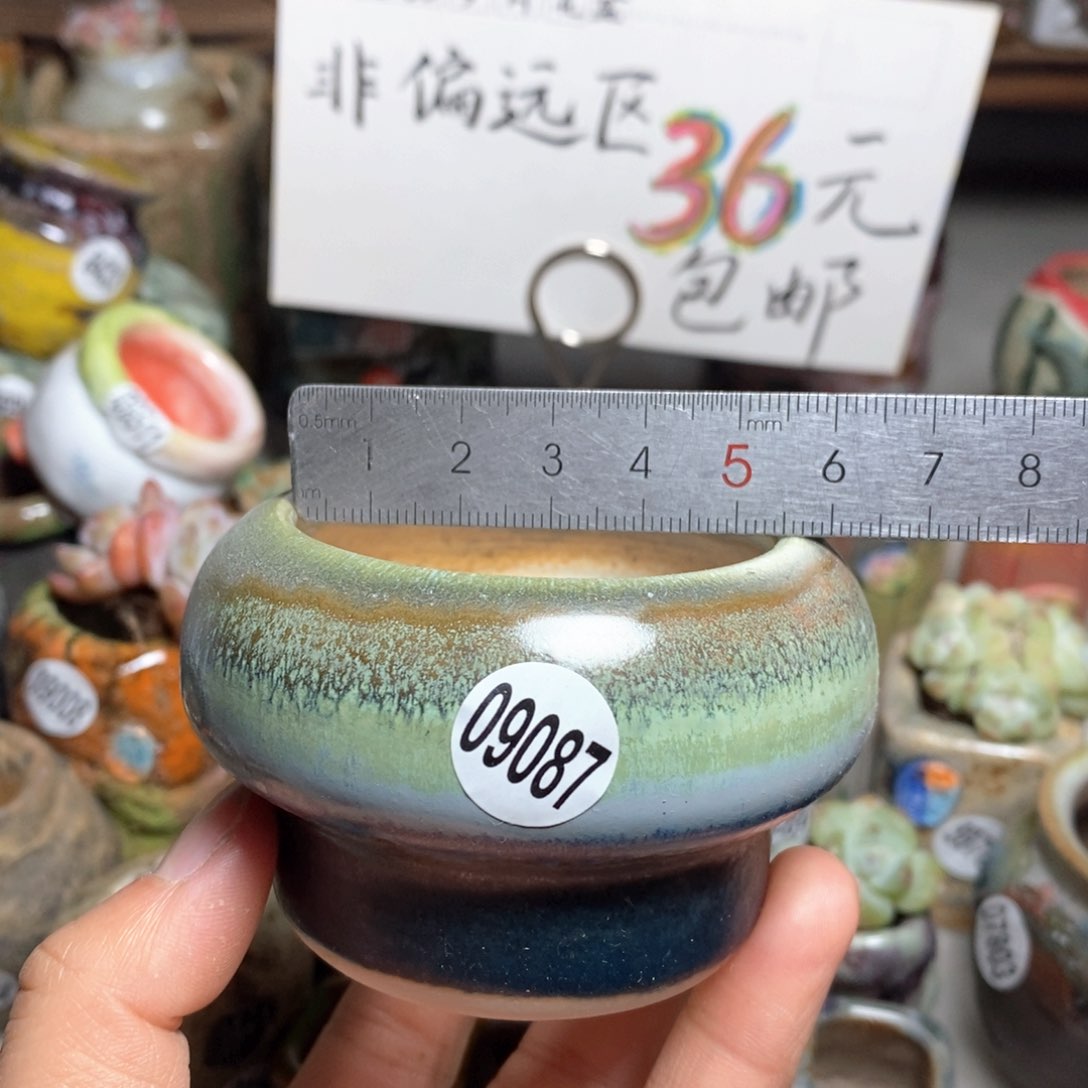 花盆拍5送一个小礼物