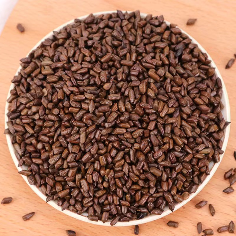 【助农专属】农家决明子500g