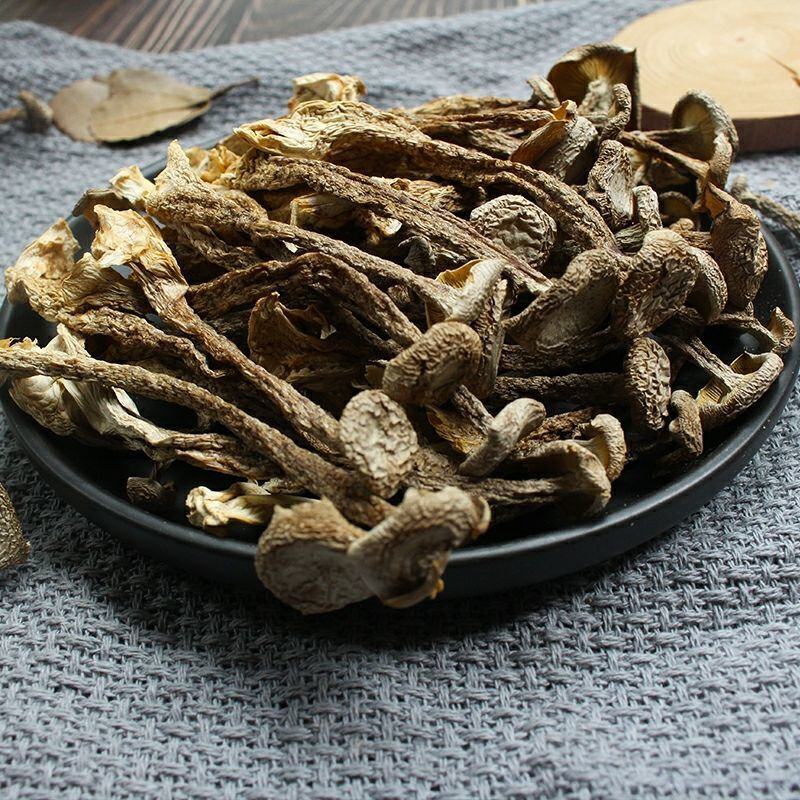 【北京(福建)会客厅】鹿茸菇煲汤炒菜蘑菇