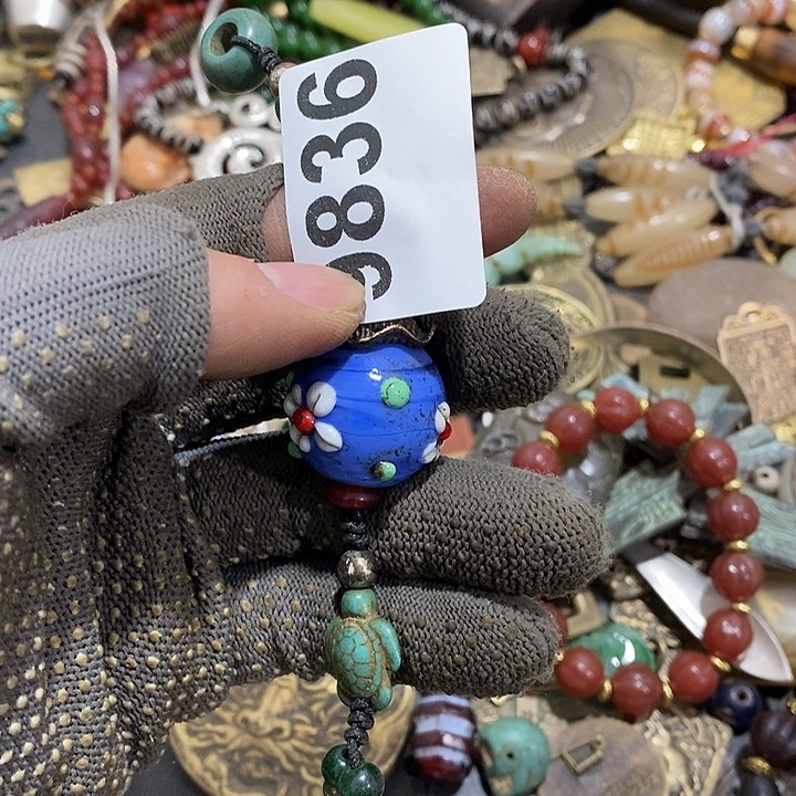 毛*豆光明的未来发展潜力9836