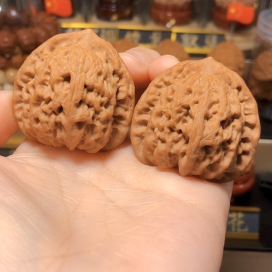 野生小众：佛肚全品