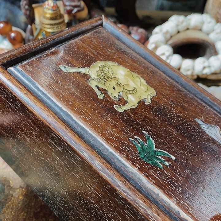 d b n f j k g m m v n b n m