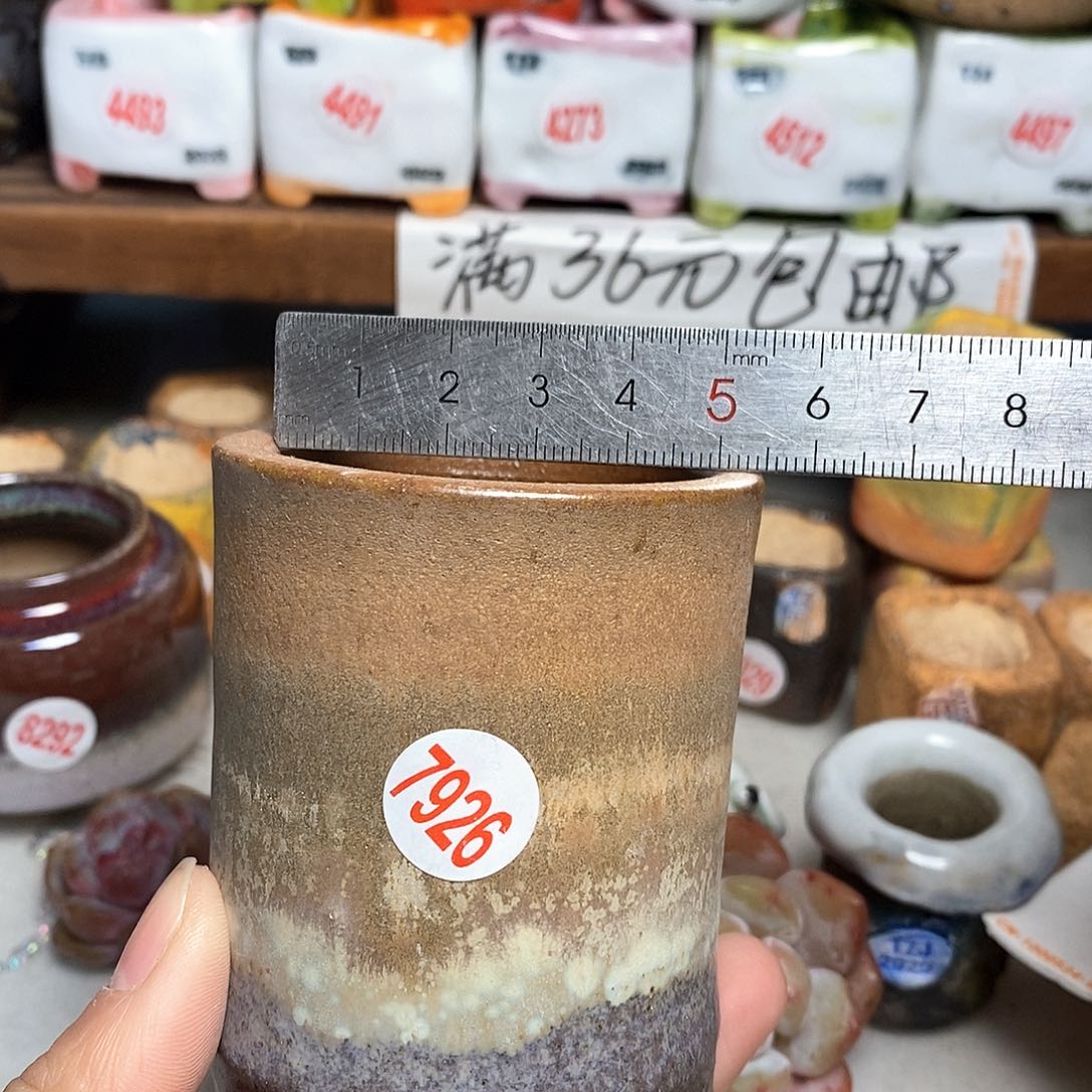 红陶拍5送一个小