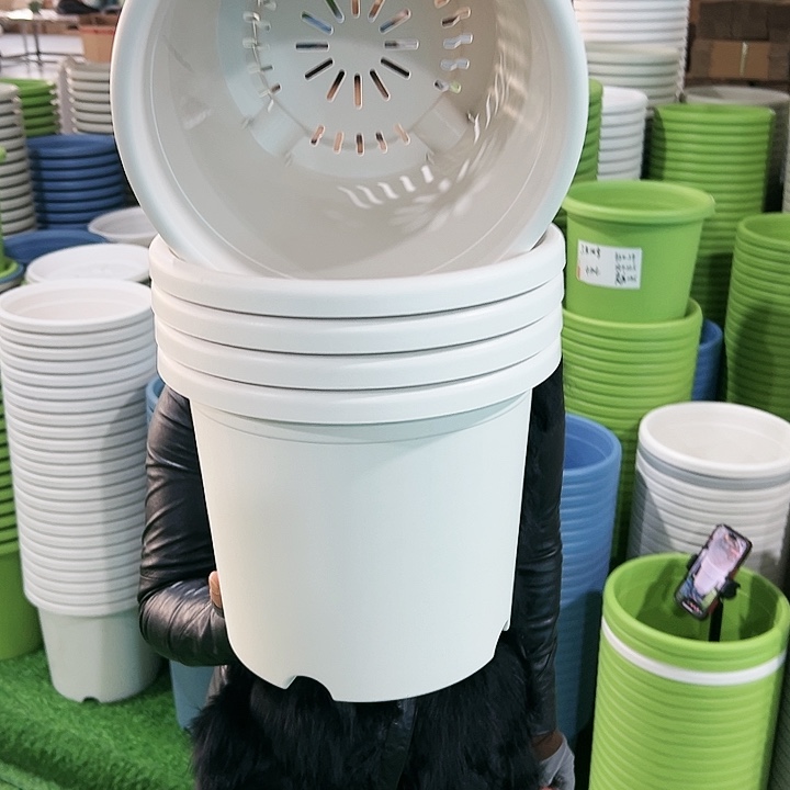 特价5号四季口29高24.5白色无托5只