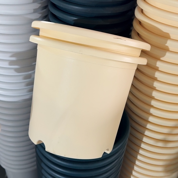 微瑕6#米黄7个无托