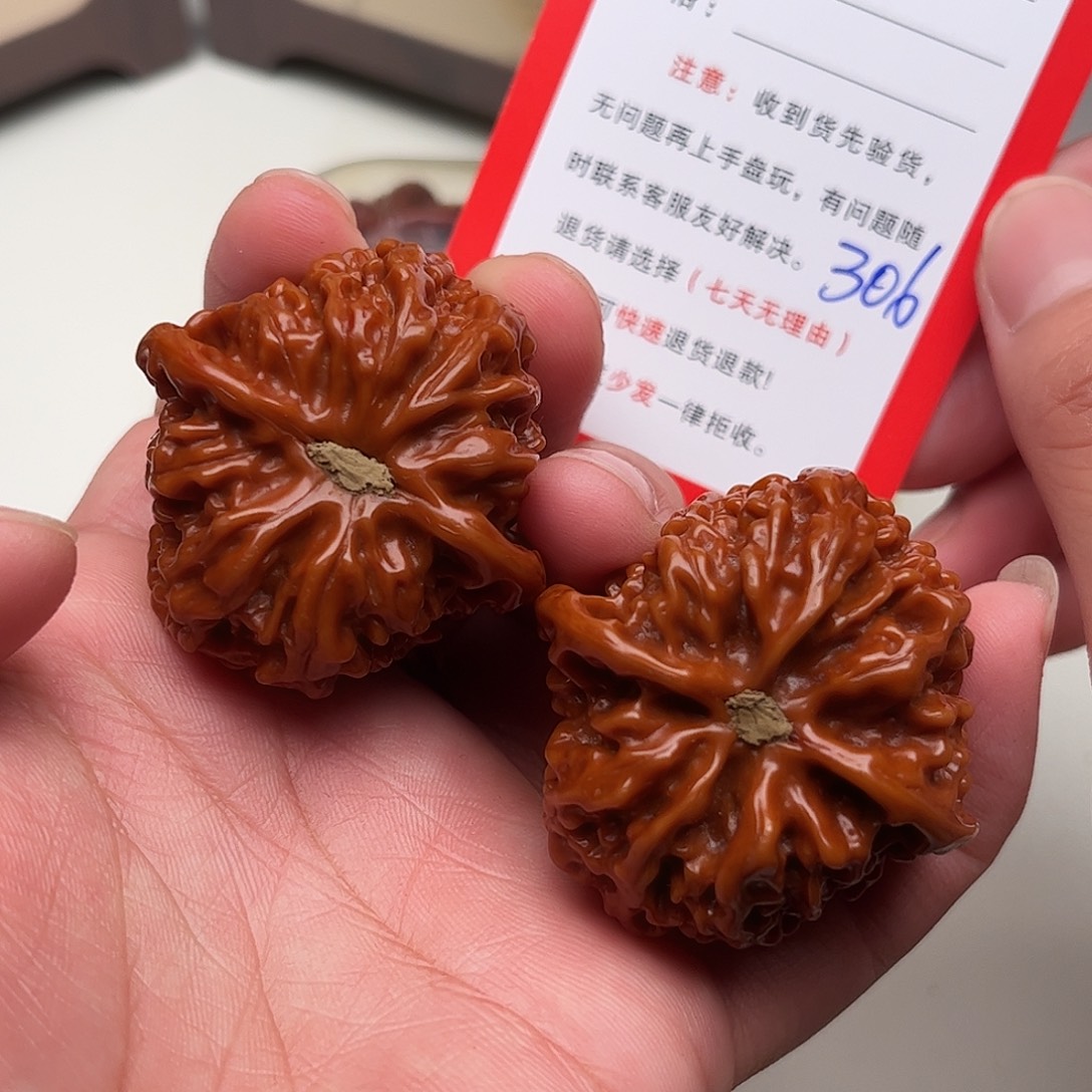 *****306。 40尺。 满天星