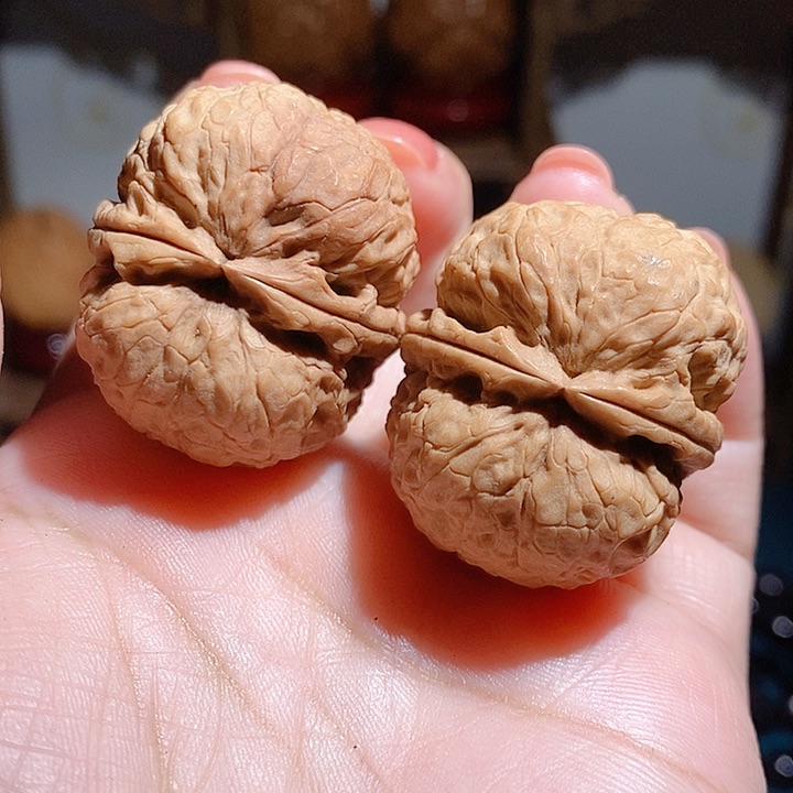 野生云南铁核桃寿星头35