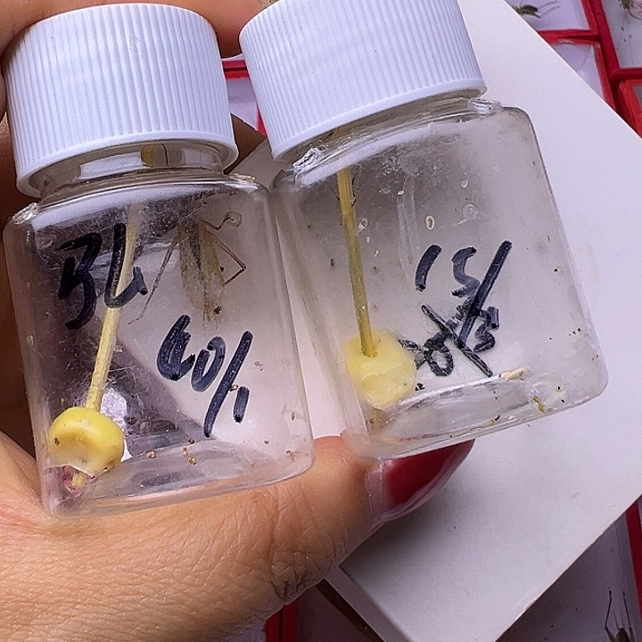 弘***～哈哈哈哈哈哈哈哈哈哈哈哈哈哈