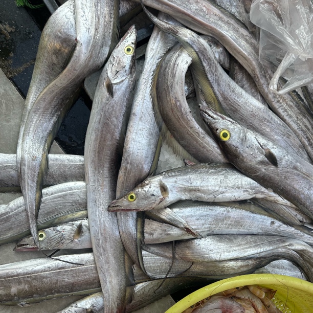 【集胜味海鲜】大带鱼