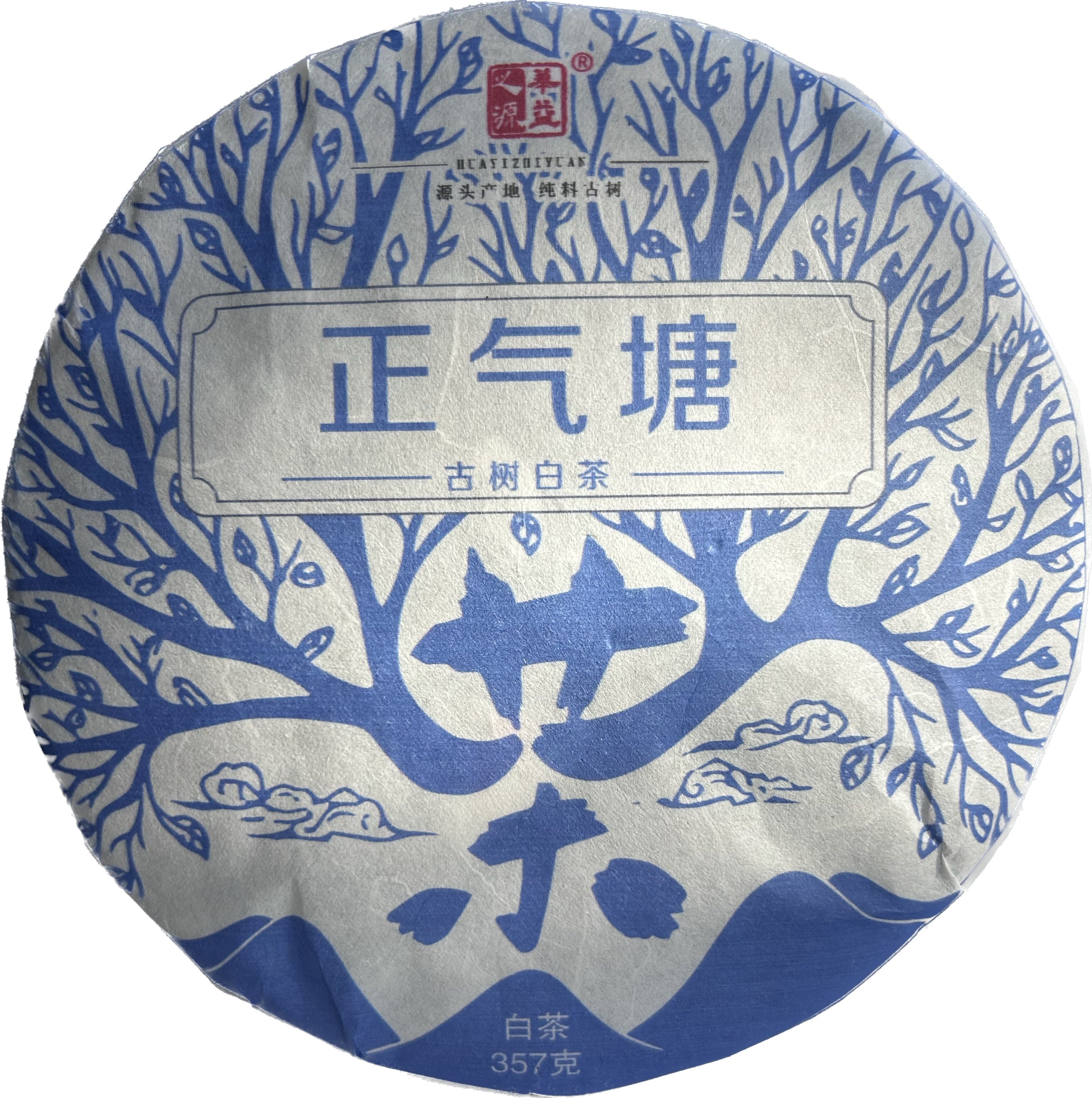 云南古树白茶2023年正气塘古树白茶357克/饼（白茶）