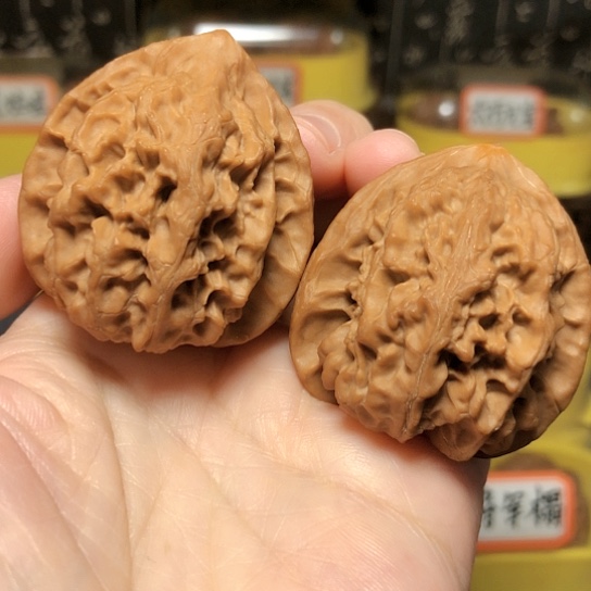 精品野生品梨木台