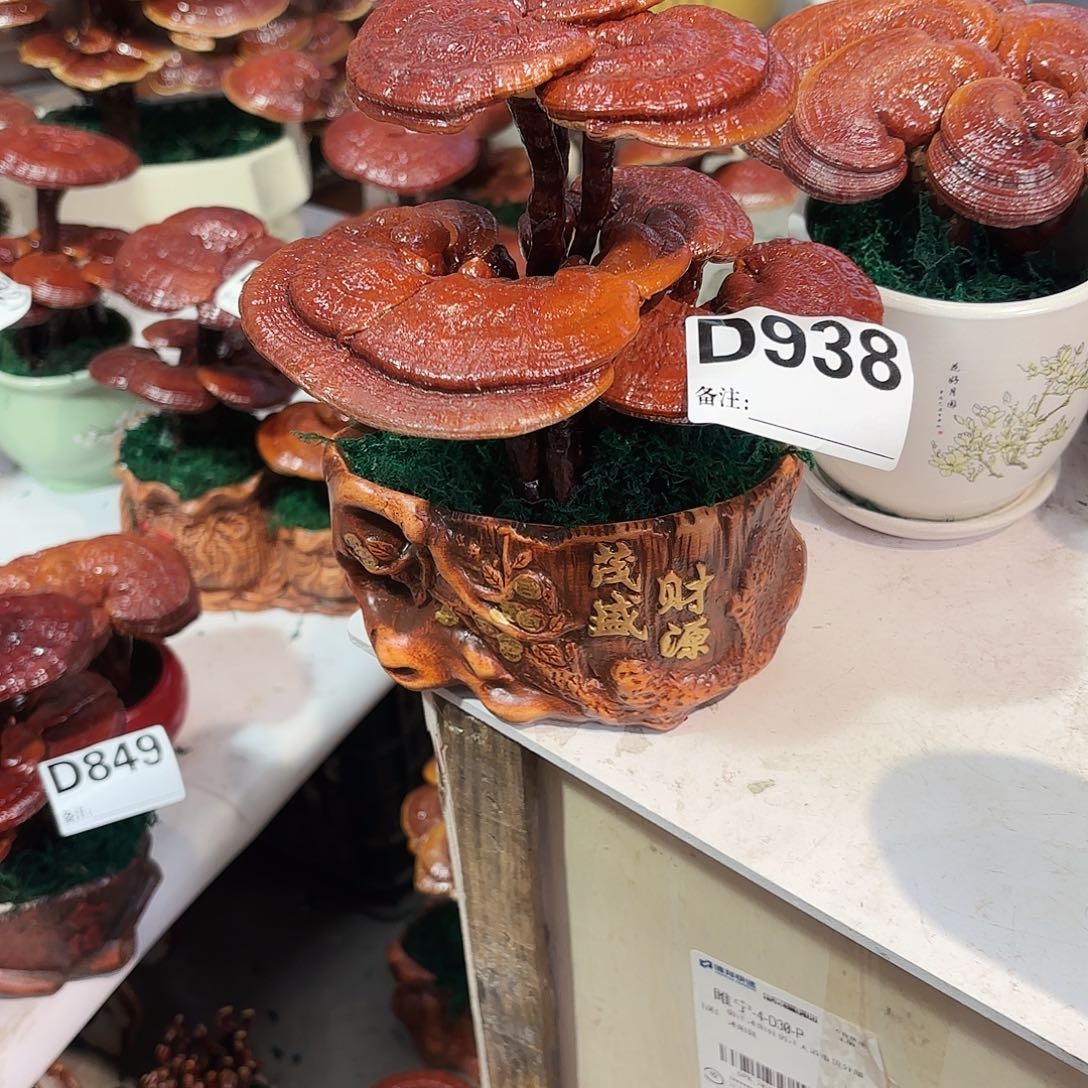 花****无花朵灵芝88888888888888888