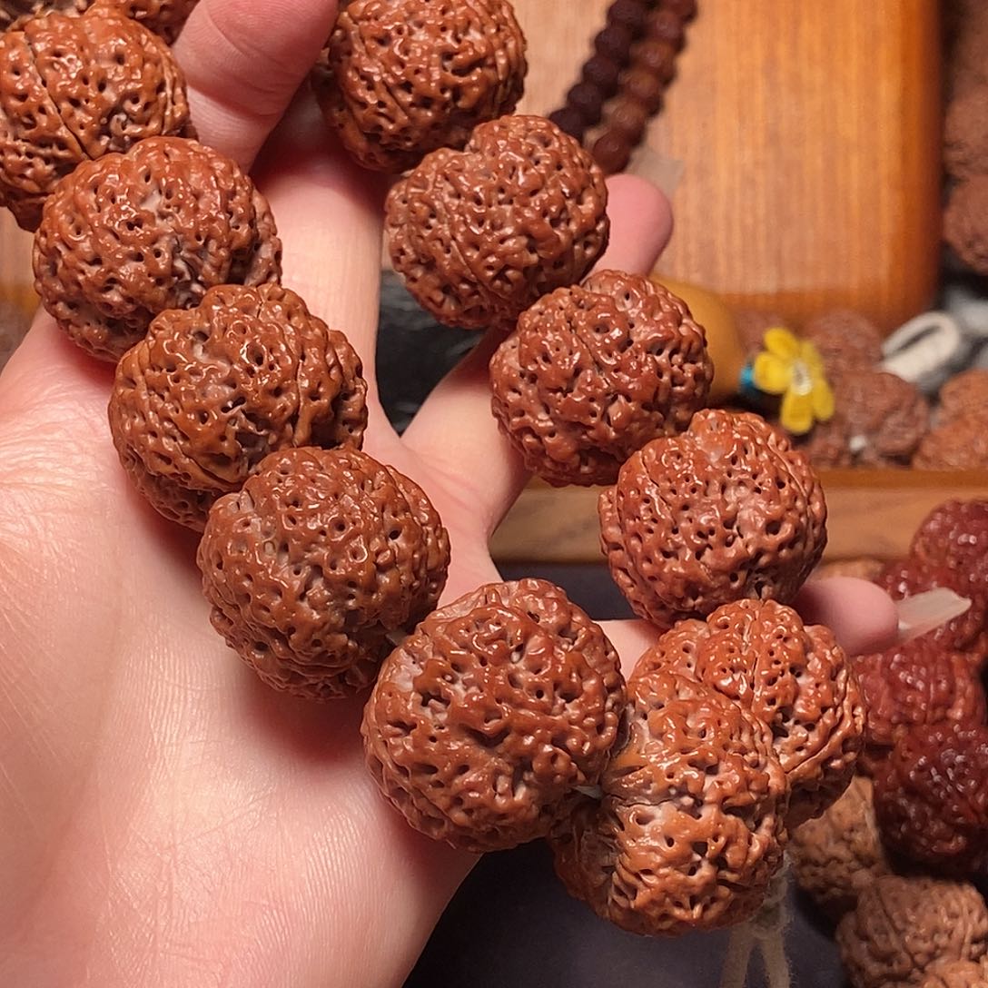 金刚菩提手串！五瓣26蜂王257