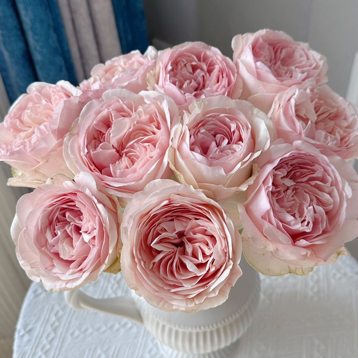 凯瑟琳单头玫瑰鲜切花基地直供