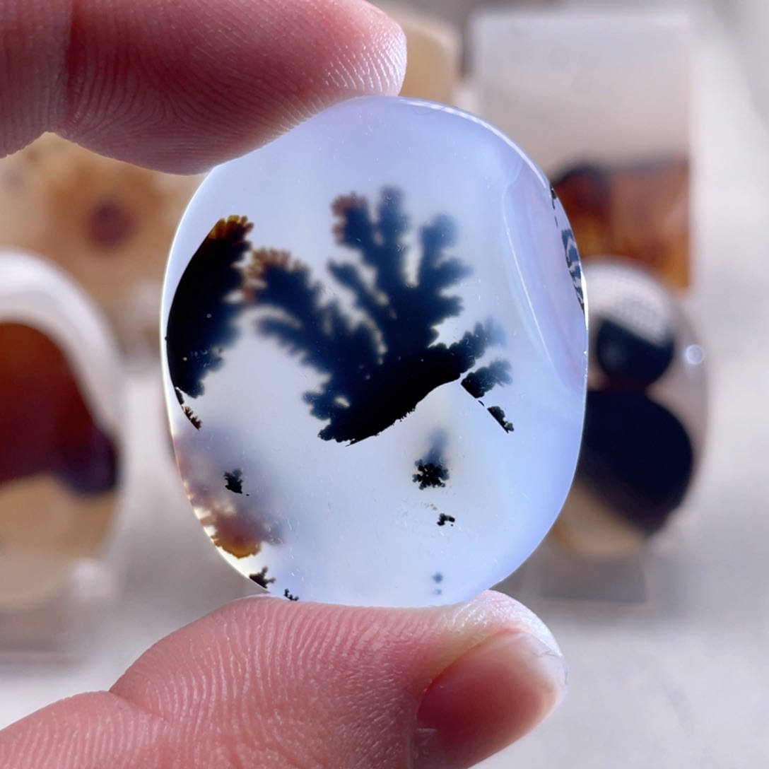 【闪购商品】玛瑙/玉髓颈饰合金