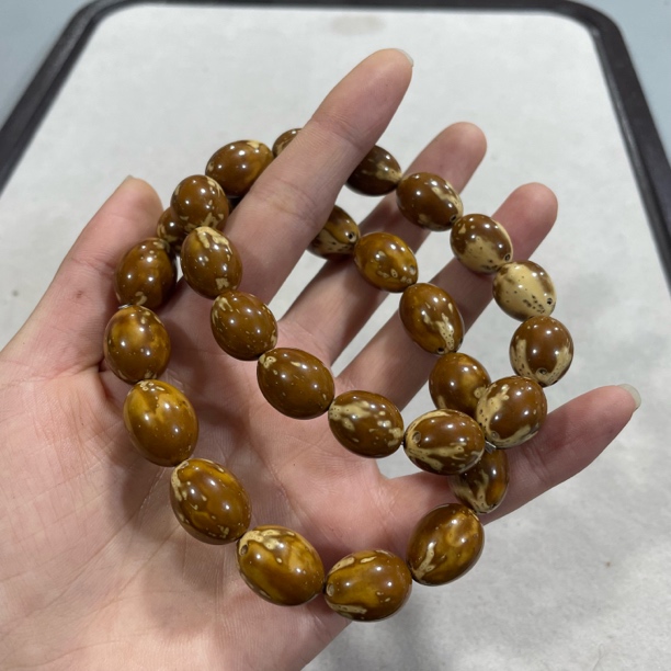 F66 紫金鼠枣珠单圈手串（多样性发其一）