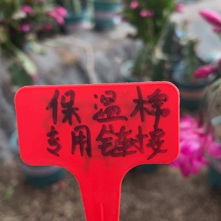 保温棉零下五度拍