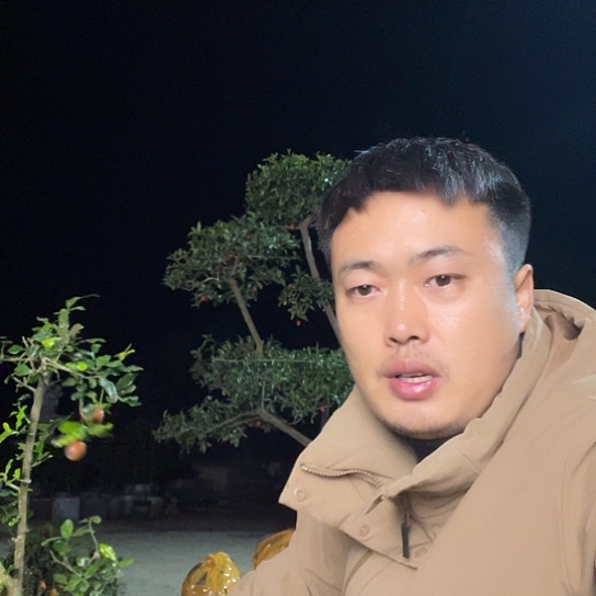 无花朵金弹子庭院地景原生母