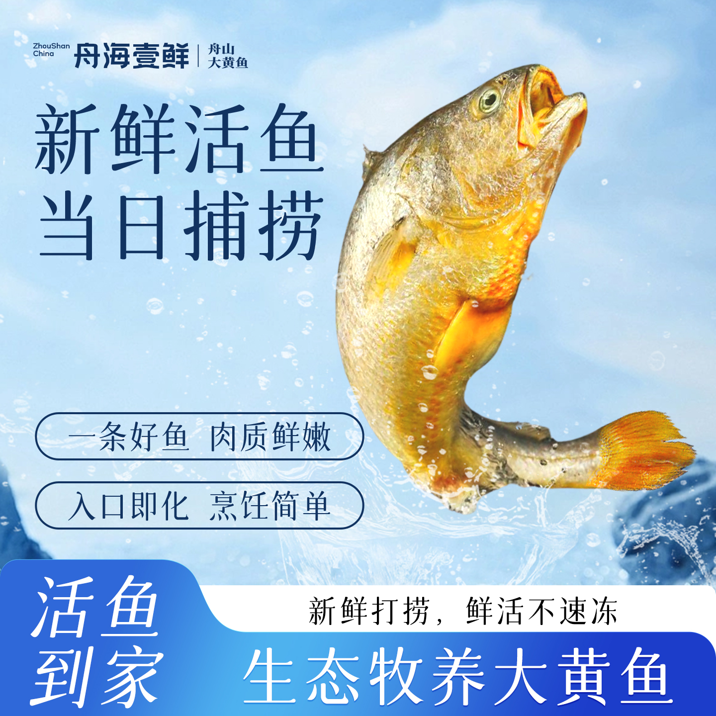【鲜活大黄鱼】舟海壹鲜黄金水道生态牧养大黄鱼新鲜直达-单条装