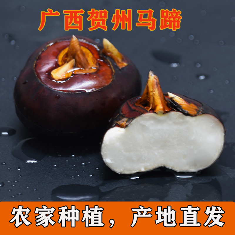 广西正宗红皮马蹄新鲜现挖荸荠果清甜多汁脆爽可口产地直发马蹄果