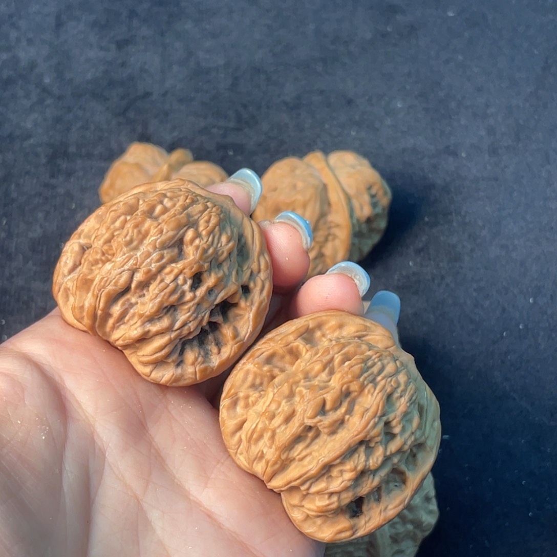 文玩核桃把件律*己42麦虎