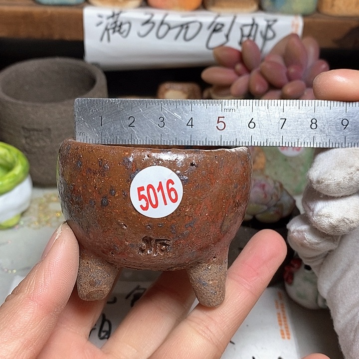 红陶拍5送一个小