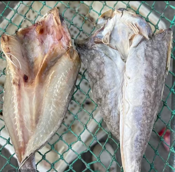 大连一卤鲜红娘鱼干*红头鱼*雀鱼*半干*冷冻发货介意勿拍