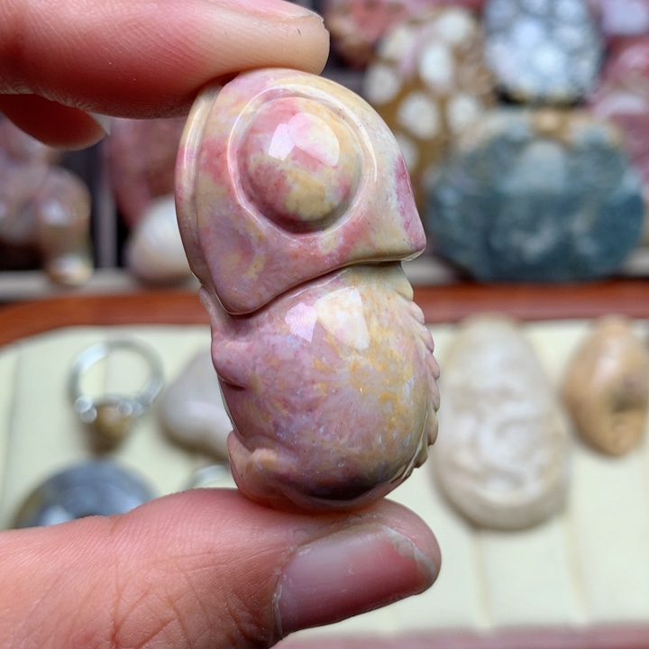 硅化珊瑚（珊瑚玉）颈饰未镶嵌