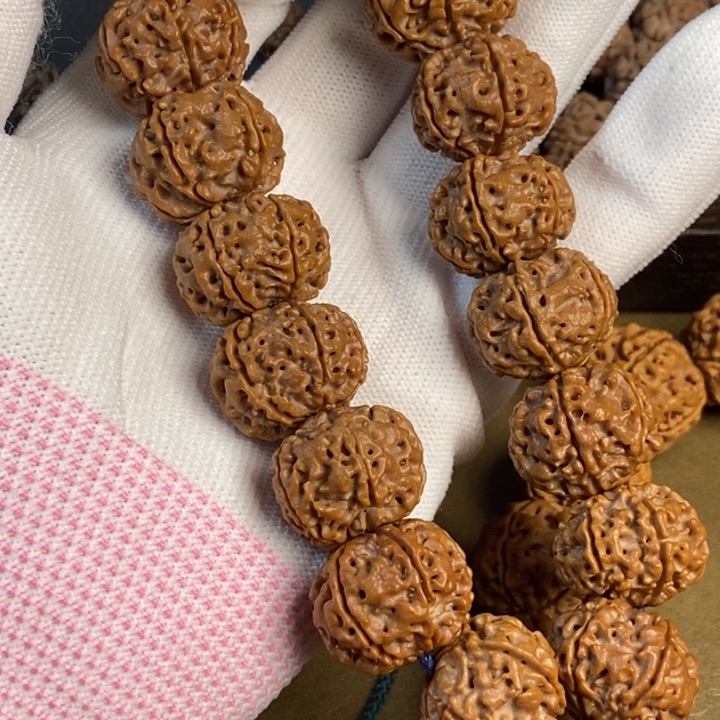 手串金刚菩提20左右粉红皮矮桩六瓣福利