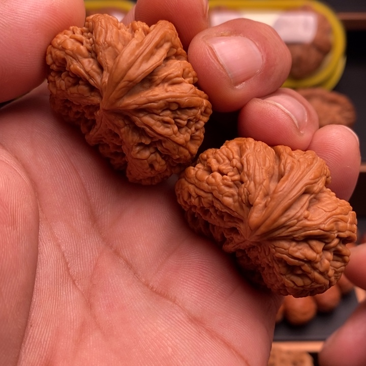 文玩核桃把件纽*粗筋