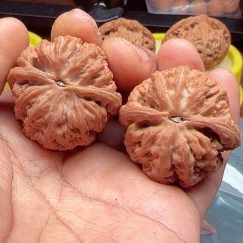 J***n吊坠桃核粗筋狮子头38尺